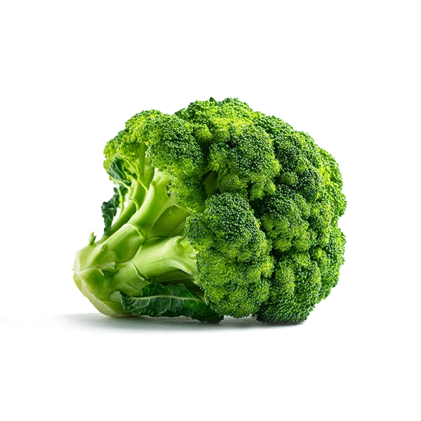 Fresh broccoli florets